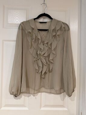 Zara Sheer Cascading Ruffle Front Blouse Size M Puff Sleeve Ethereal Feminine